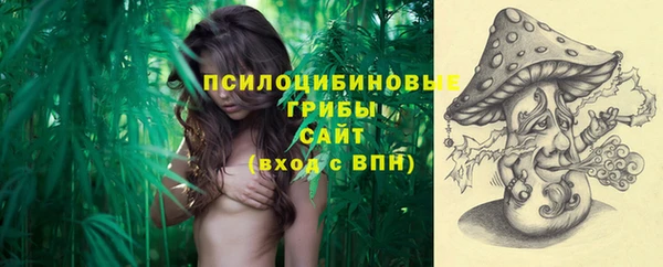 дмт Алексеевка